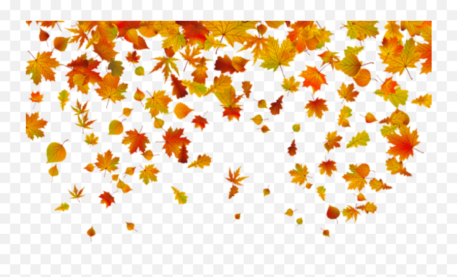 Maple Leaf Transparent Png Clipart - Transparent Fall Leaves Background,Maple Leaf Png