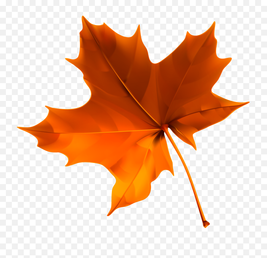 Fall Leaves Png Pic - Transparent Background Fall Leaf Clipart,Autumn  Leaves Png - free transparent png images 