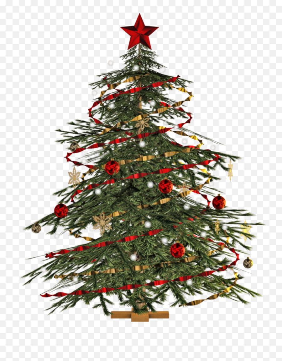 Christmas Tree Png Images Image - Christmas Tree Tree Png,Christmas Tree Transparent Background