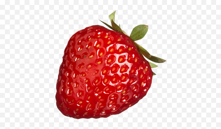 Strawberry Clip Art 22948 - Free Icons And Png Backgrounds Morango Png,Strawberry Clipart Png