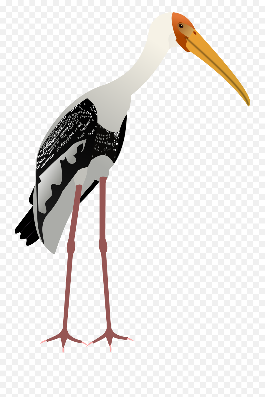 Painted Stork Vector Png Image - Png Birds Painted Stork,Stork Png