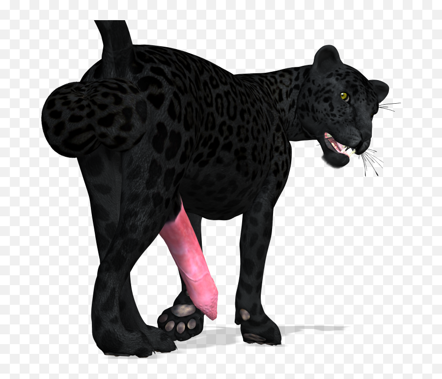 Panther Cat Computer Icons - Black Panther Animal Png,Panther Transparent