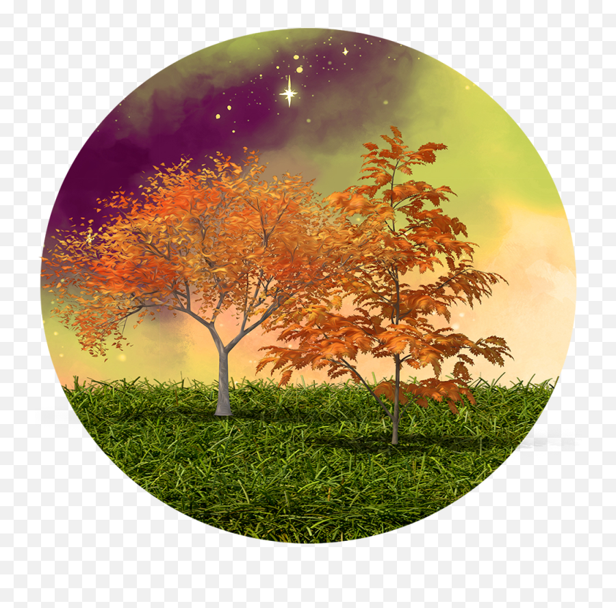 Celestial Autumn Scenery Transparent Png Clipart Round - Tree,Autumn Transparent