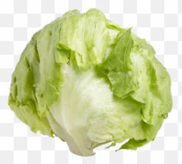 Iceberg Lettuce Png 4 Image - Transparent