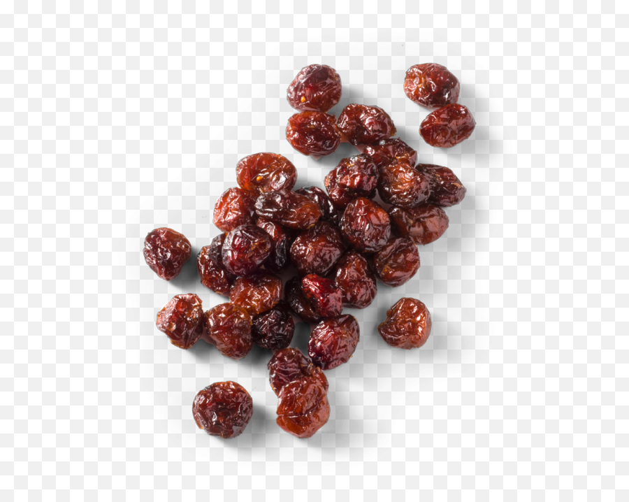 Picture - Seedless Fruit Png,Cranberry Png