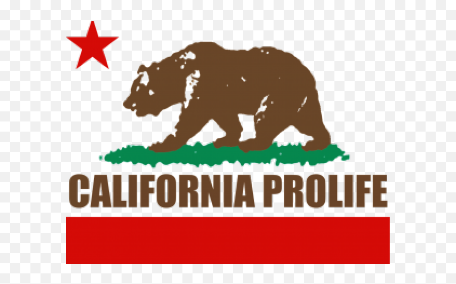 California Flag Clipart Png - California Flag,California Flag Png