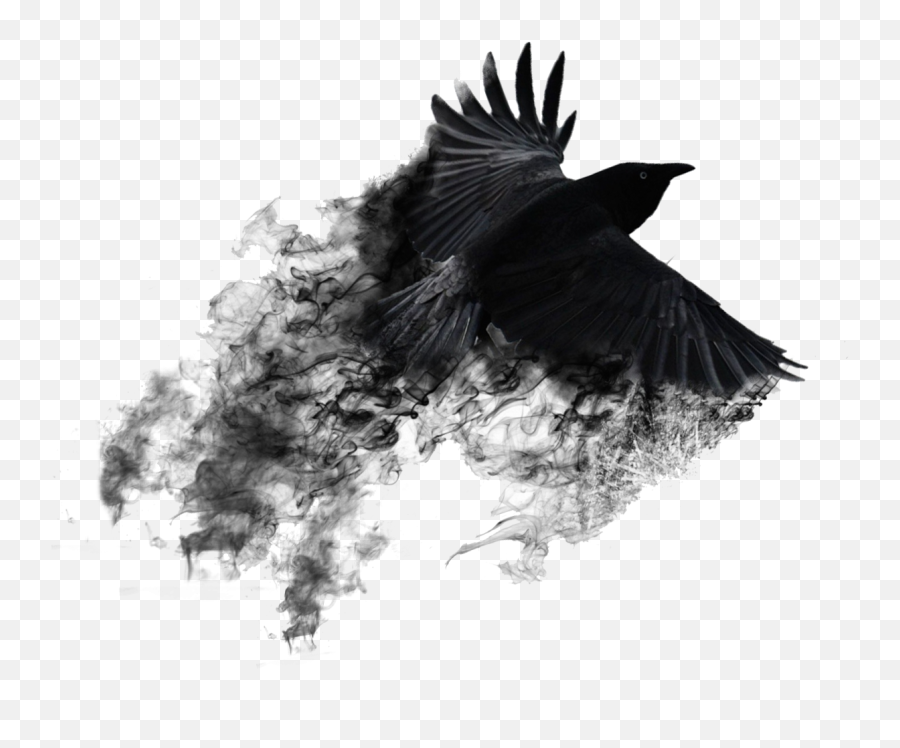 Smoke Bird Photo Editing Background - Black Smoke Crow Png,Black Smoke Png