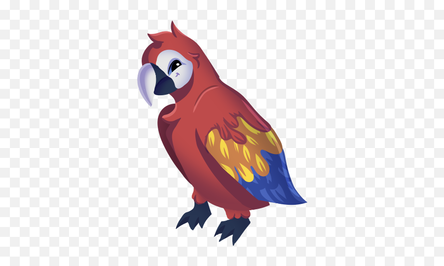 Custom Animals U2014 Animal Jam Archives Png Macaw