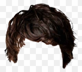 Haircut Shorthair Png Picsart