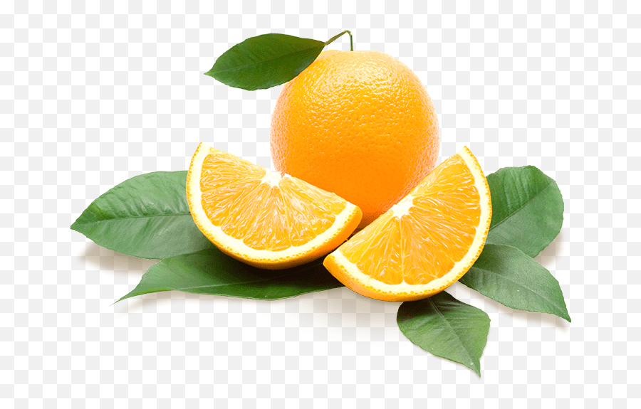 Showcase Of Citrus - Transparent Background Oranges Png,Citrus Png