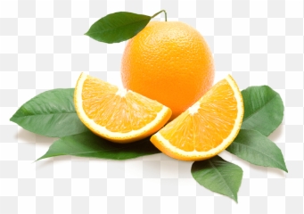 Showcase Of Citrus - Transparent Background Oranges Png,Citrus Png