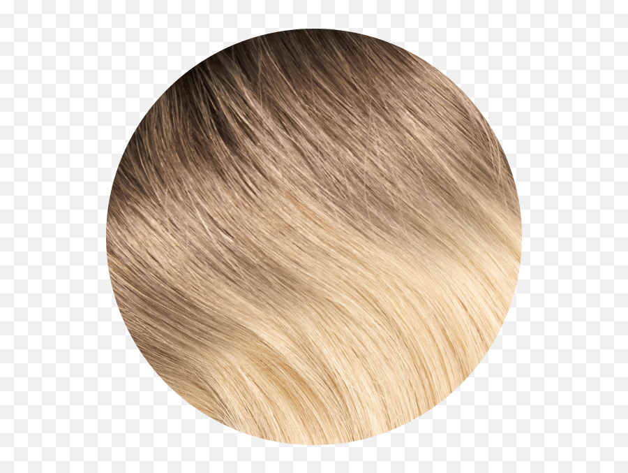 Santa Monica Ombré Human Hair Ponytail - Blond Png,Ponytail Png