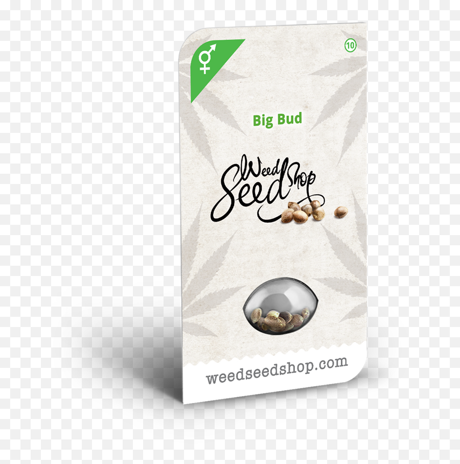 Big Bud Seeds - Weed Seed Shop Uk Weed Png,Weed Nugget Png