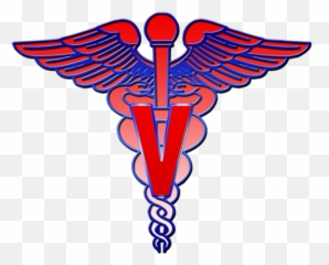 Emblem Banner Transparent Png Files - Logo Veterinary Doctor Symbol,Veterinarian Png