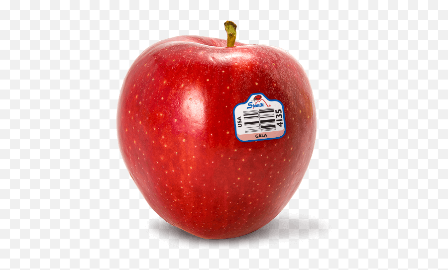 Download - Apple Png,Red Apple Png