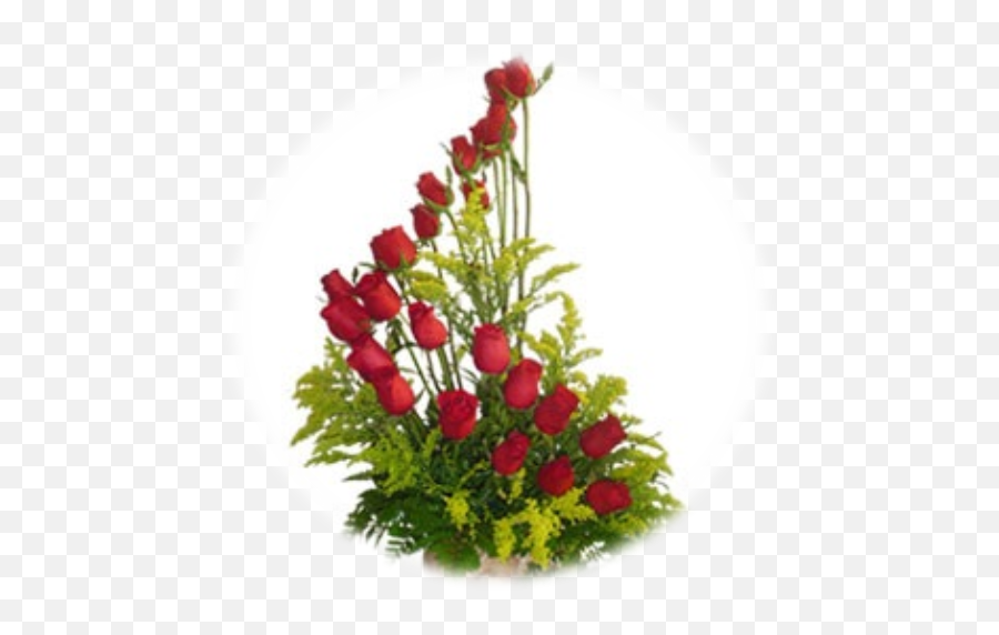 Arreglo De 24 Rosas Rojas - Arreglos Florales De Rosas Rojas Arreglos De Flores Png,Rosas Rojas Png