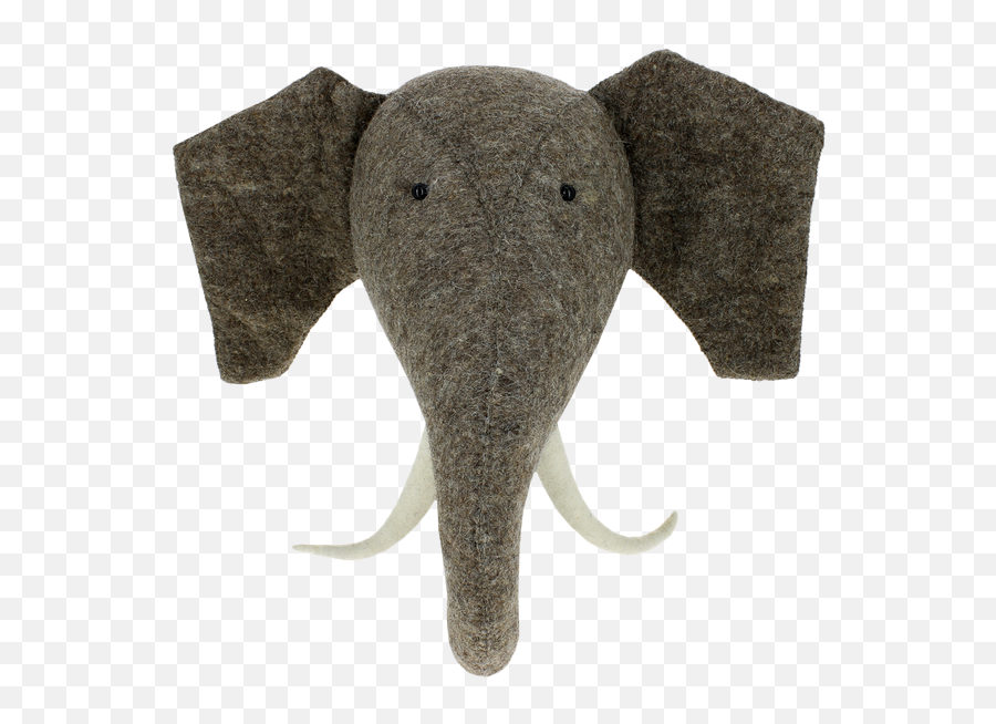 Elephant Head With Tusks - Fiona Walker England Png,Elephant Head Png