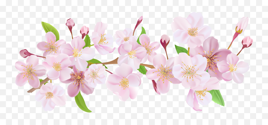 Japanese Cherry Blossom Transparent - Transparent Cherry Blossom Flower Crown Png,Cherry Blossom Branch Png