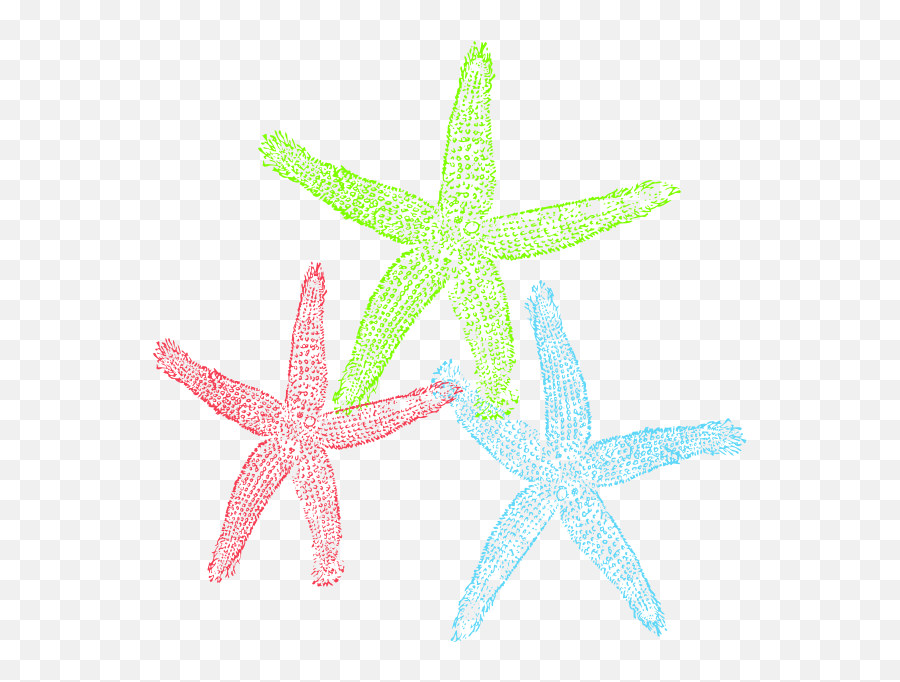 Free Set Of Three Colorful Starfish Clip Art - Starfish Starfish Png,Starfish Transparent