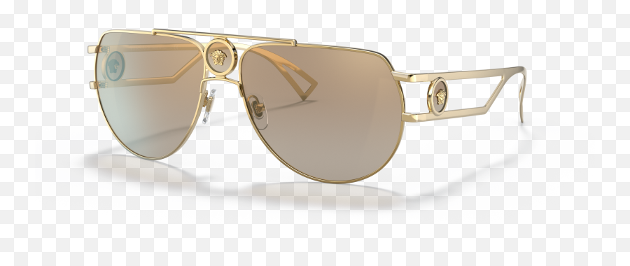 Versace Ve2225 60 Brown Gold Png Icon