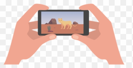 Incident Report 2010 - 2020 Help for Big Cats Topics Smartphone png