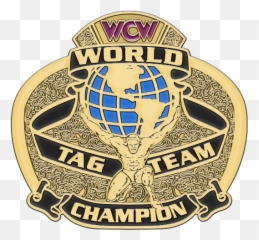 61 Championship Belt Inspiration Ideas In 2022 Pro - Wwe Tag Team Championships 2001 png