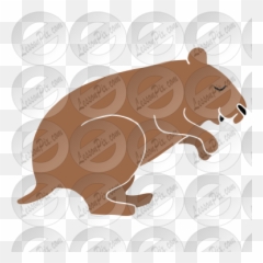Hibernating Groundhog Stencil For Classroom Therapy Use - Brown Bear png