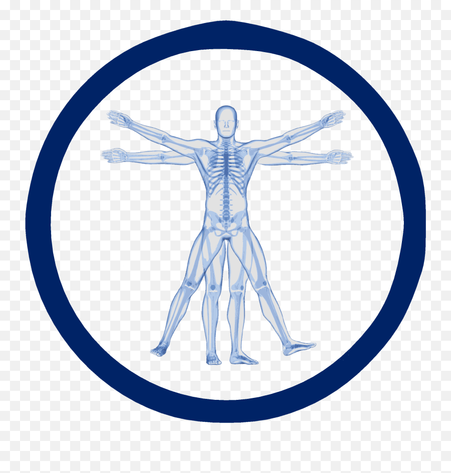 Injury Prevention Nzbma - Vitruvian Man With Skeleton Vector Png,Vitruvian Man Icon