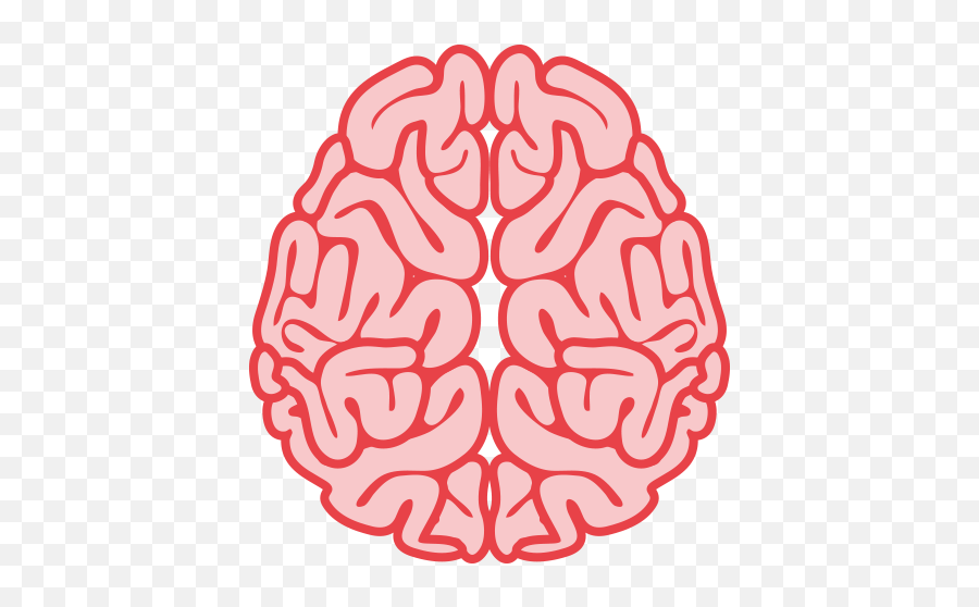 R brain. Мозг рисунок. Мозг нарисованный. Мозг человека вид сверху.