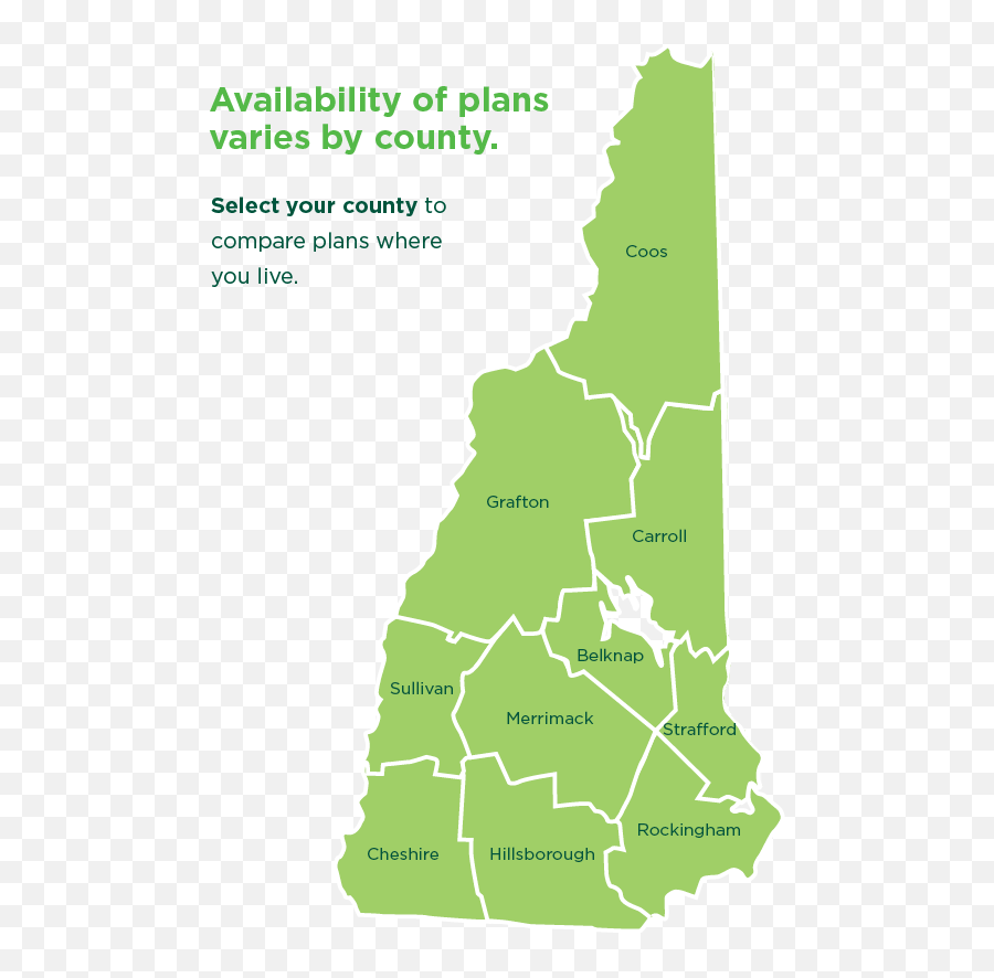 New Hampshire Plans - 2020 Png,Tree Plan View Png