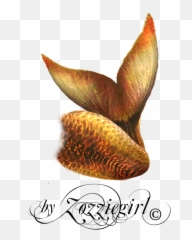 Mermaid Tail Png Ima - Transparent Mermaid Tail Overlay,Mermaid Tail Png