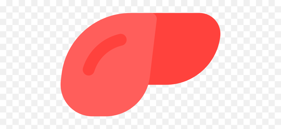 Liver Png Icon - Clip Art,Liver Png