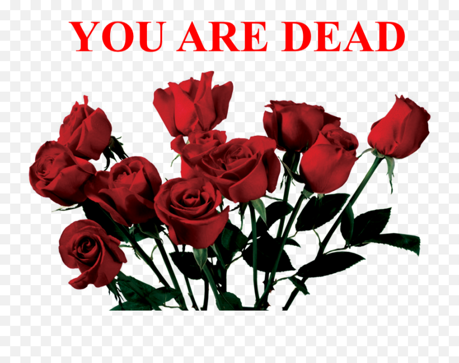 Roses Red Dead Sad Freetoedit Png - Transparent Aesthetic Png,Dead Rose Png