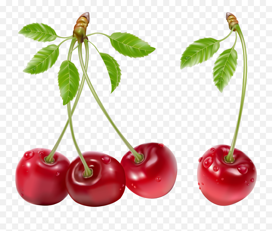 Hd Cherry Png Transparent Image - Cherry Vector,Cherry Png