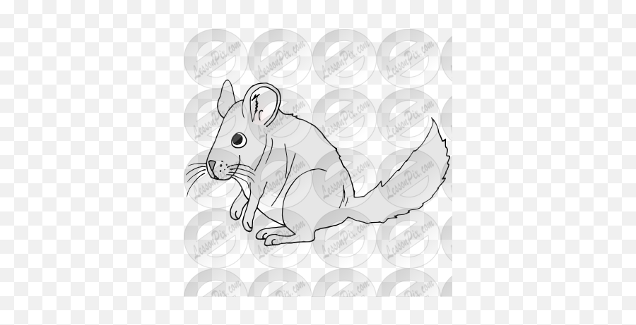 Lessonpix Mobile - Cartoon Png,Chinchilla Png