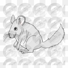 Lessonpix Mobile - Cartoon Png,Chinchilla Png