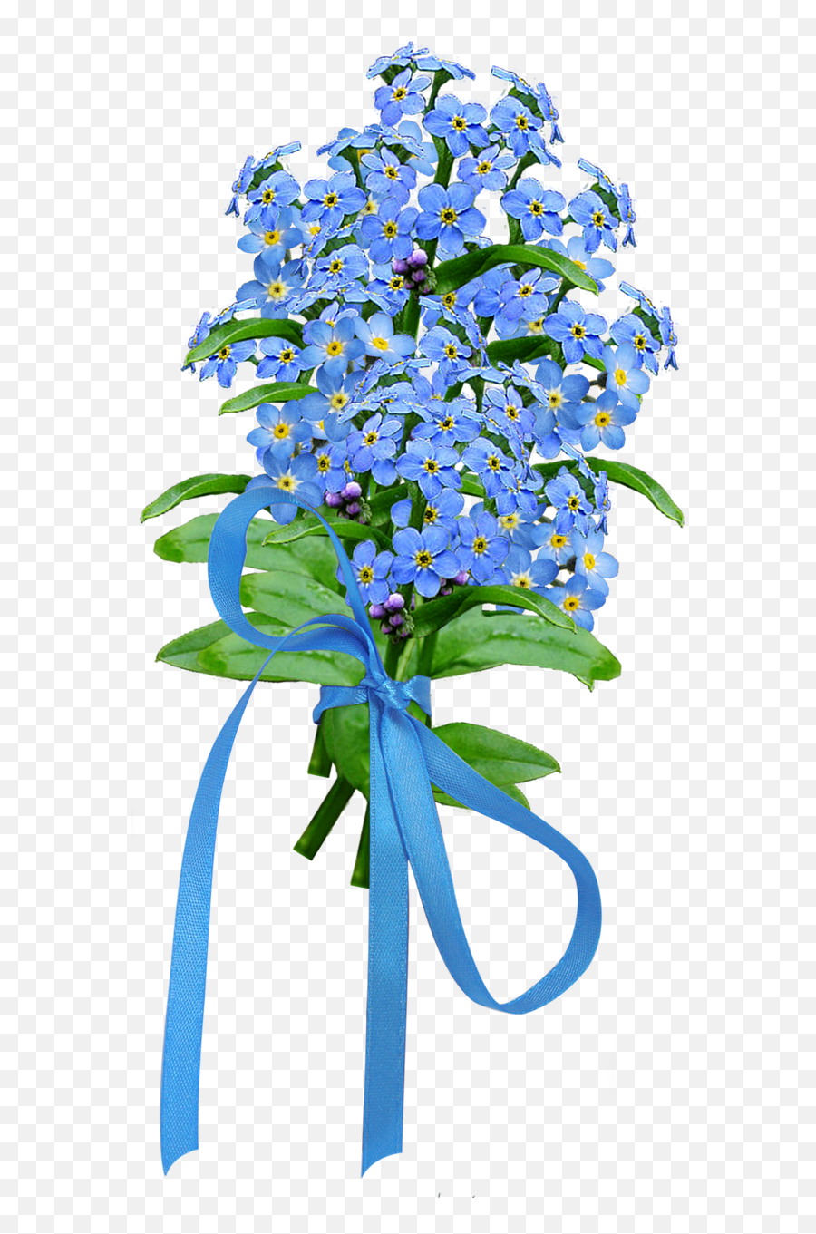 Forget Me Not Png Image - Blue Forget Me Not Bouquet Png,Forget Me Not Png