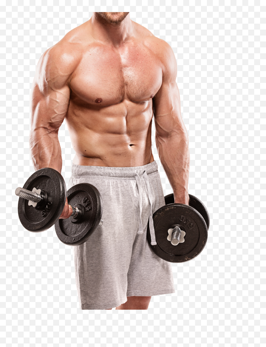 Download 1255 X 1433 8 - Vitamin B12 For Muscle Png,Workout Png