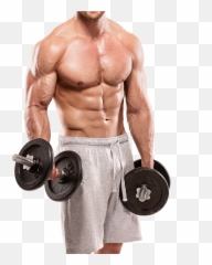 Download 1255 X 1433 8 - Vitamin B12 For Muscle Png,Workout Png