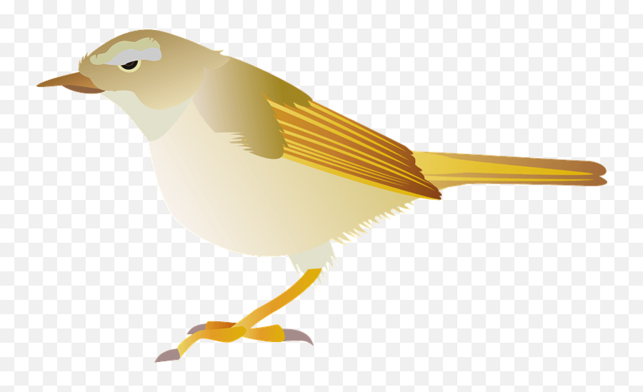 Japanese Bush Warbler Bird Clipart Free 2721496 - Png American Sparrows,Bird Clipart Png