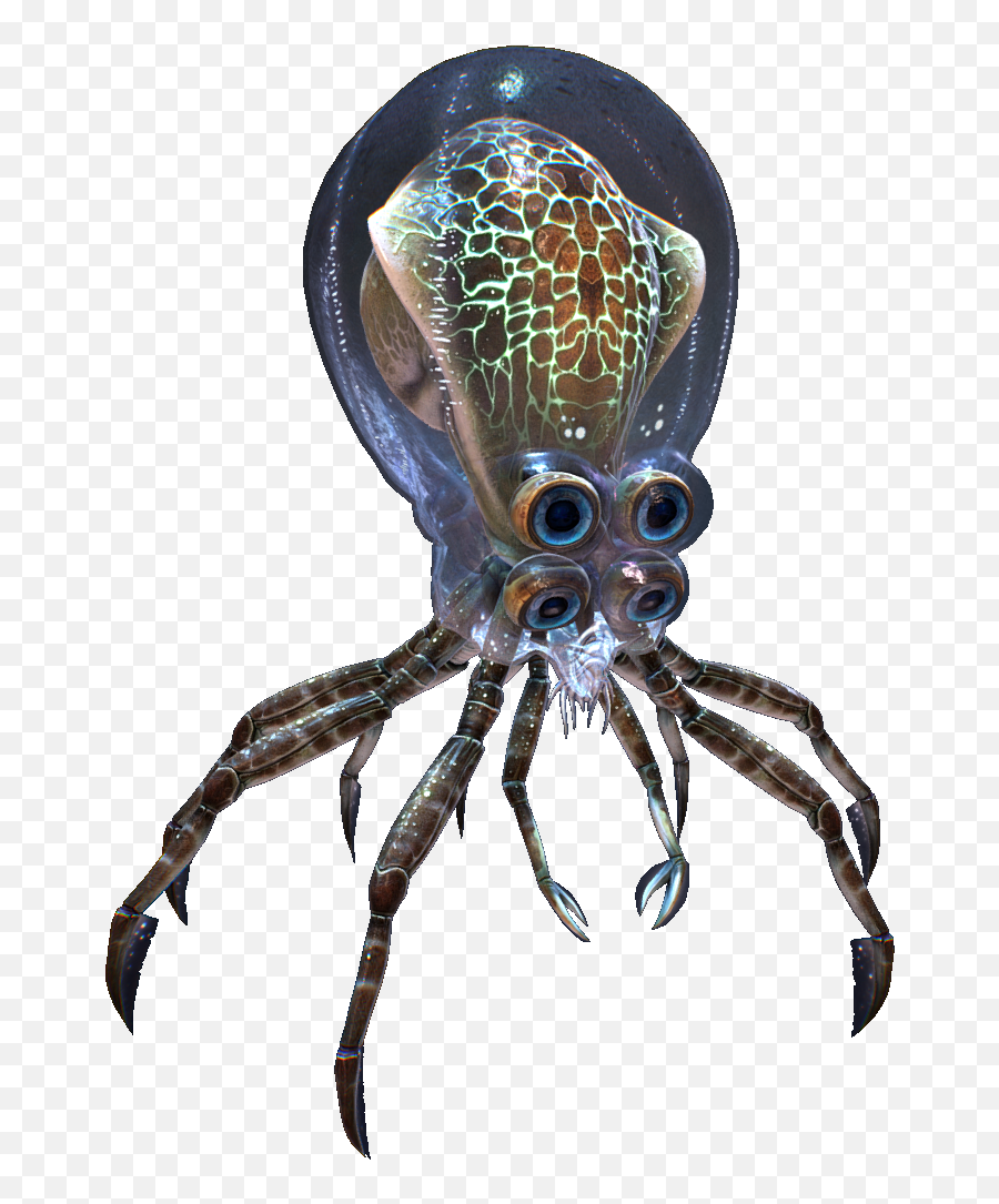 Crabsquid Subnautica Wiki Fandom - Subnautica Octopus Png,Octopus Transparent