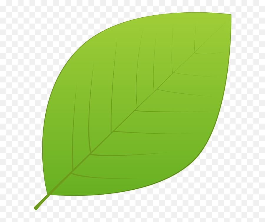 Green Leaves Png Hd Background 1130382 - Png Images Pngio Illustration,Mint Leaves Png