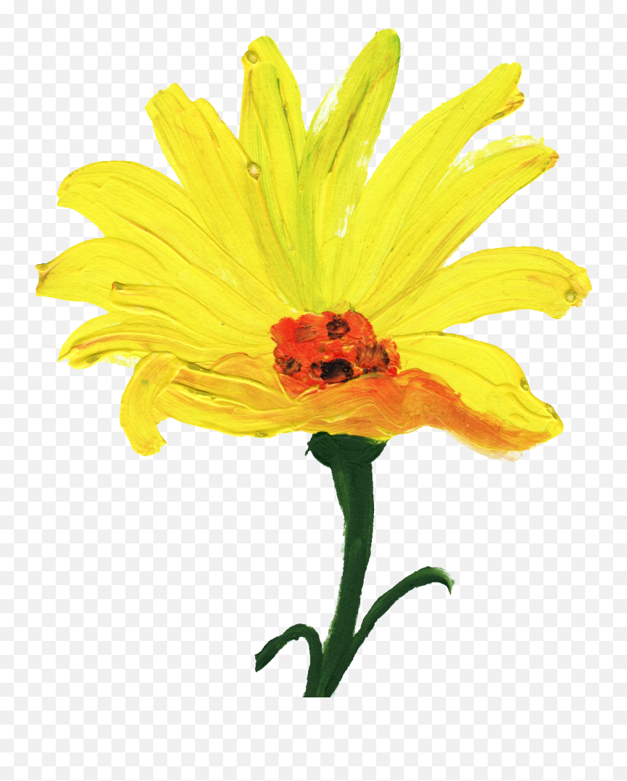 12 Simple Painted Flower Png Transparent Onlygfxcom - Transparent Yellow Painted Flowers,Painted Flowers Png