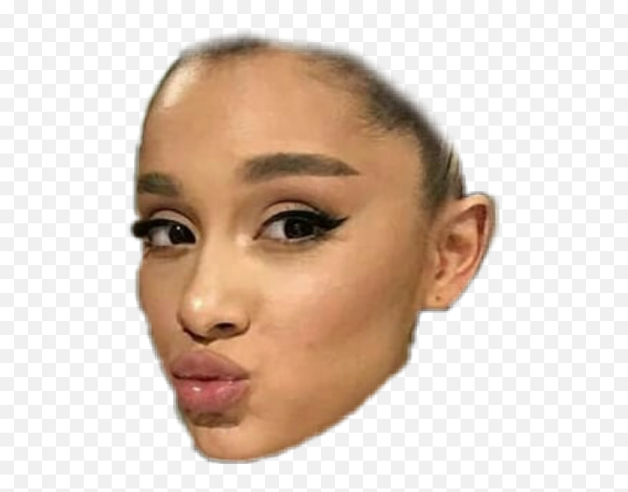 Arianagrande Arianasface Ariana Sticker By Yasemin - Ariana Grande Make Up 2018 Png,Ariana Grande Transparent