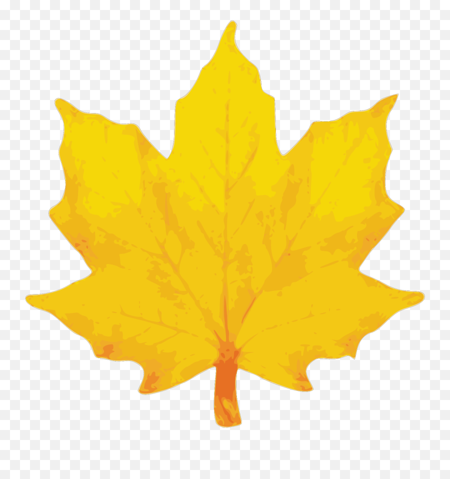 Orange Maple Leaf Svg Vector Clip Art - Yellow Fall Leaves Clip Art Png,Maple Leaf Icon