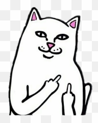 Cat Middlefinger Icon Pfp Icons Sticker - Ripndip Logo png