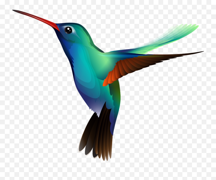 Image Hover Stack For Rapidweaver - Bee Hummingbird Png,Avis Icon
