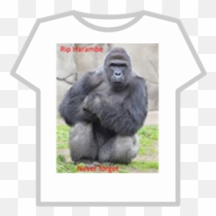 Rip Harambe - Roblox Harambe Meme Png,Harambe Transparent