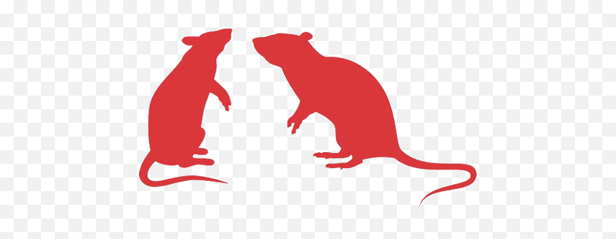 Rodent Removal - Silhouette Rat Vector Png,Rat Icon