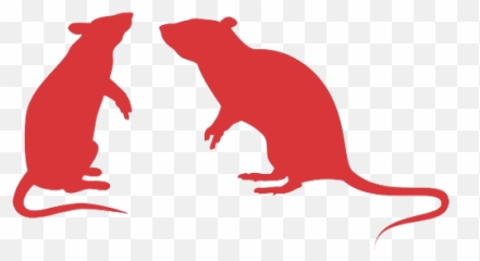 Rodent Removal - Silhouette Rat Vector png